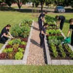 Alunos do Cotip iniciam criação de hortas comunitárias
