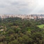 Dia dos Pais: 6 passeios em São Paulo para fazer em família